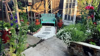 Little Garden Full of Charm! 🌷🌼🌻 Peaceful & Relaxing (No Talking)