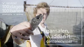 Garnalenvisser voor een dag: hoe gaat dat? | Randstad - Dag 80