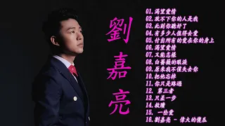 劉嘉亮16首 - 音樂精選 | 非常動聽 |想你心會痛| 此刻你聽好了👌！Best Songs of Liu Jialiang
