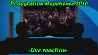 Zangorwarrior and Bro reacts to the Playstation Experience 2016