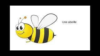 C'est le Printemps (Vocabulaire du Printemps) : French Springtime Vocabulary : French Kinder TV