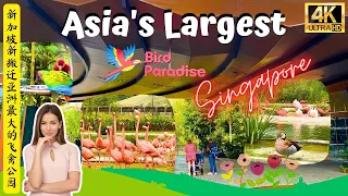 Highlights of Newly-Relocated Asia Largest Mandai Bird Park Paradise Singapore 新加坡新搬迁亚洲最大的飞禽公园