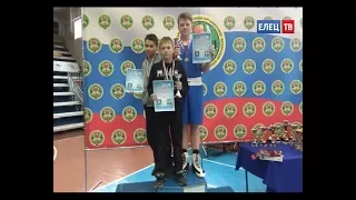 Елецкие спортсмены  - финалисты первенства Липецкой области по боксу
