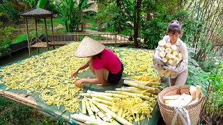 Harvest Bamboo Shoots - How To Process and Preserve Bamboo Shoots | Nhất Daily Life