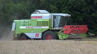 CLAAS DOMINATOR 88 IN DE ZOMER GERST