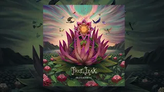 'Blossoming' Full Album - Paul Izak