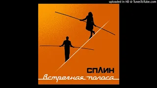 Сплин - Шпионы