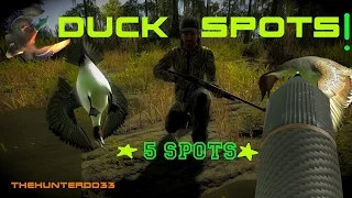 DUCK SPOTS!! *5 Spots*  THEHUNTER 2017