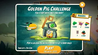 Angry Birds 2 AB2 Golden Pig Challenge! 🗿🗿🗿