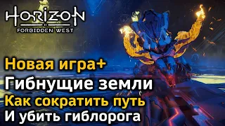 Horizon Forbidden West | Новая игра+ | Гибнущие земли ~8 мин | Как сократить путь | Бой с гиблорогом