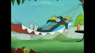 Tom and Jerry, 62 Episode&