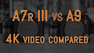 Sony A7r III vs A9 - 4K Video Comparison