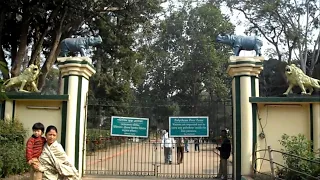 GUWAHATI ZOO - The Assam State Zoo cum Botanical Garden