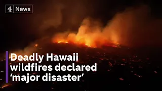36 dead as wildfires tear through Hawaiian island of Maui