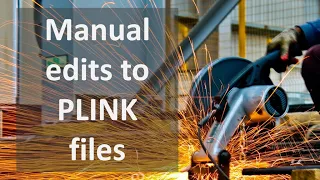 Manual changes to PLINK genotype files