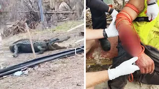 Gator Attacks Man Who Was Washing Hands in Pond in Florida