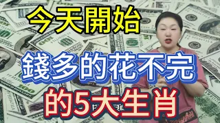 就在今天！2024年5月24號開始！錢多到花不完的5生肖！一生富貴多金！尤其是第三名！有意外大財之喜！#運勢 #風水 #生肖 #2024 #佛教