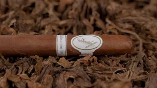 Davidoff 702 Series Cigar Review