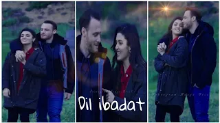 Dil ibadat  song | Eda and sarkan whatsapp status song| Hanfe Erçel and Kerem Bürsin