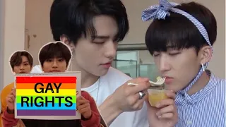 The H in Stray Kids stands for heterosexual