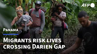 'An endless nightmare': migrants cross the Darien Gap jungle to reach US | AFP