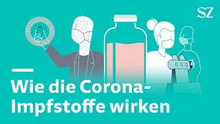 Wie die Corona-Impfstoffe im Körper wirken