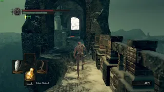 Dark Souls Remastered - Fastest Way to Crossbreed Priscilla