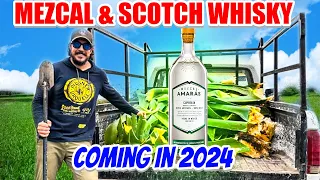 New Episodes About Mezcal & Scotch Whisky Coming In 2024.
