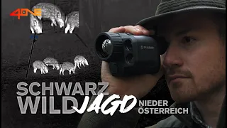 Die Schwarzwildjagd - Unterwegs in Niederösterreich TEIL 1