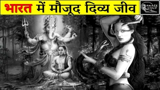 Mysterious Creatures of India | आज भी भारत में रहते हैं ये दिव्य जीव | Indian Mythical Creatures |