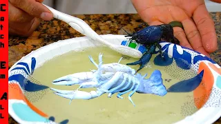 Changing the COLOR of BLUE LOBSTER with BUBBLE CLEANING!