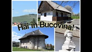 Hai cu noi in BUCOVINA ! - O ZI in judetul SUCEAVA #romania #peisaje #nature #youtube #calatorie