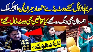 CM Punjab Election: How many votes did Maryam Nawaz get?