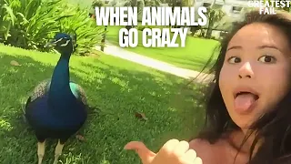 Funny Animals Fails 2023: When Animals Go Crazy