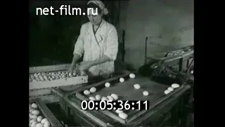 1964г. совхоз Пятигорский Ставропольский край