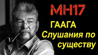 В суде Гааги по делу МН17 начались слушания по существу. Краткий обзор по "горячим следам"