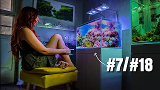 1.5 Hours of The Most Beautiful Reef Tanks - Aquarium Relaxation [Aquarium Meditation]