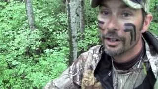 Minnesota Black Bear hunt, Awesome blood trail  with Bear Be Gone Guide Service  (HD)