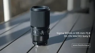 Świat fotografii makro – Test Sigma 105mm F2.8 DG DN MACRO ART Sony E – Damian Popławski