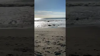 High waves at the beach #shortsfeed shortsfeed