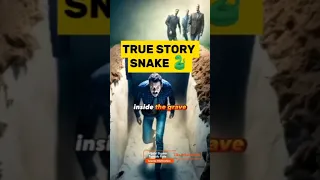 Snake In The Grave ᴴᴰ | *True Story* #youtubeshorts #quotes #haraminislam #snake #grave #motivation