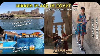 Want to see Pet Crocodiles | Philae Temple | Aswan | must visit hidden place in Egypt 🇪🇬 | Africa