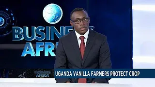 Uganda vanilla farmers arm themselves to protect lucrative crop [Business Africa]