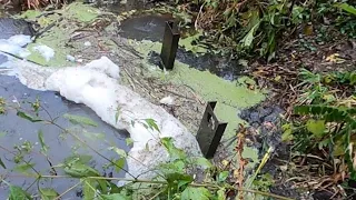 Unclogging Beaver Dam From Trash Rack Culvert