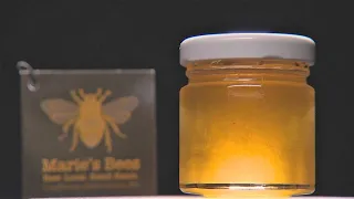 Spend the day as a rooftop beekeeper in Bellingham - KING 5 Evening