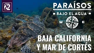 Baja California y Mar de Cortés