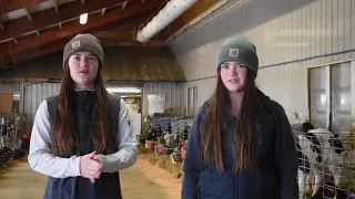 Follow a Farmer- The Teenage Perspective at Rail View Dairy