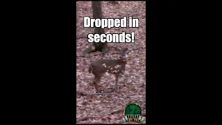 🤩PERFECT SHOT! Drops in Sight! Shotgun Deer Hunting #shorts #deerhunting