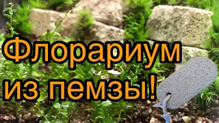 Флорариум из пемзы и мха!