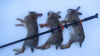 Blowgun Hunting Rabbits with Cold Steel Blowgun!